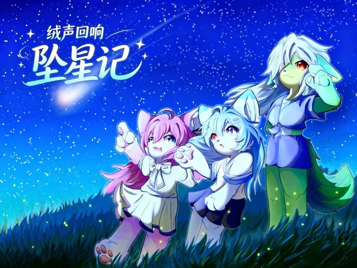 Poster for 坠星记