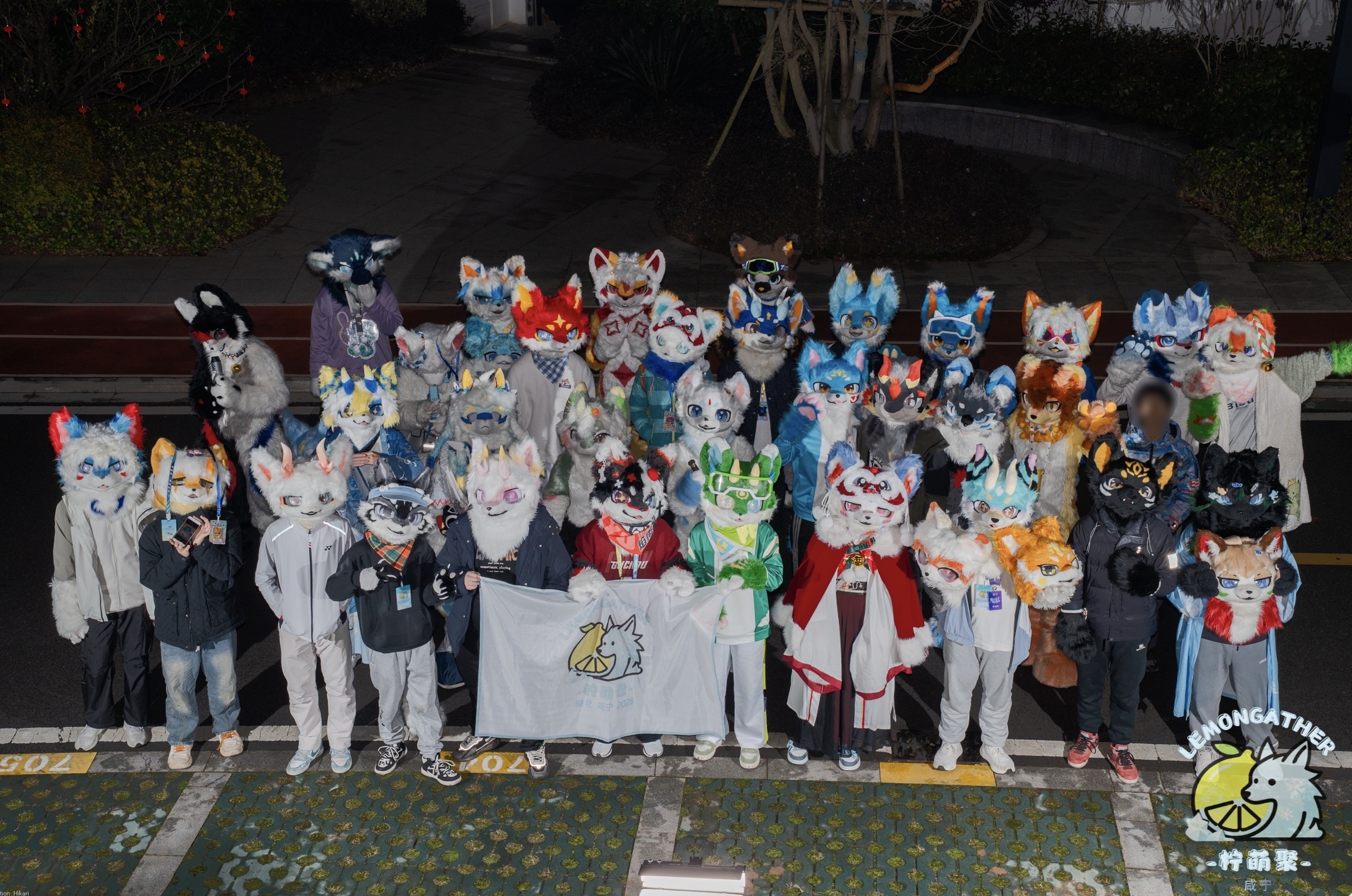 第一届的详情图片-1