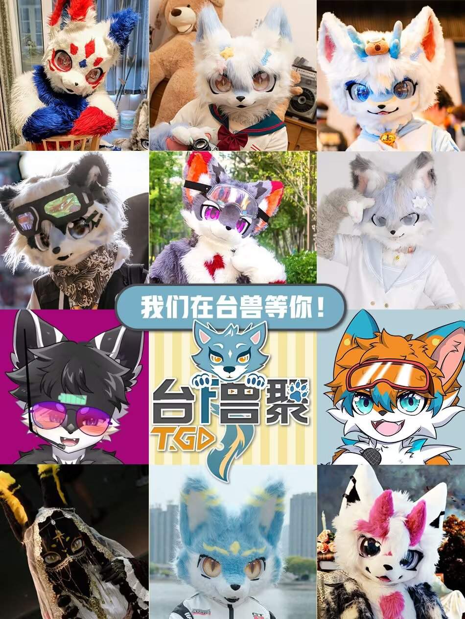 第一届的详情图片-1